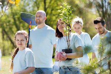 Image showing group of volunteers with trees and rake in park