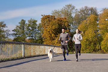 Image showing happy couple with dog running outdoors