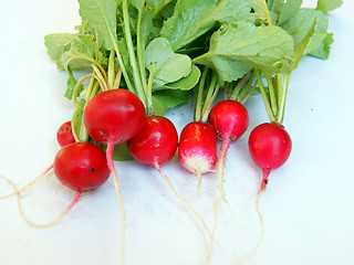 Image showing Vegetables radish