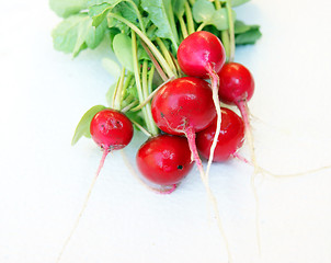 Image showing Radish on white background