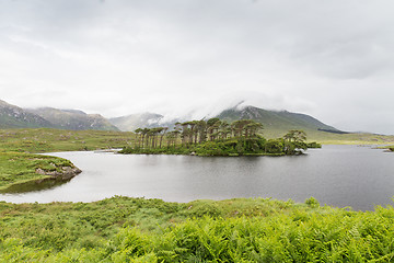 Image showing view to island in lake or river at ireland