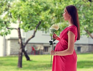 Image showing happy pregnant woman with rose flower