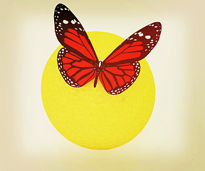 Image showing Red butterflys on a oranges. 3D illustration. Vintage style.