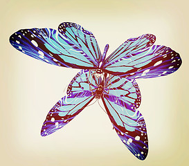 Image showing Butterfly. 3D illustration. Vintage style.