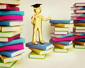 Image showing The world is opened for you. Global Education . 3D illustration.