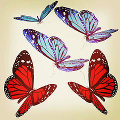 Image showing Butterflies. 3D illustration. Vintage style.