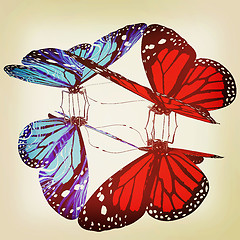 Image showing Butterflies. 3D illustration. Vintage style.