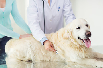 Image showing close up of vet with stethoscope and dog at clinic