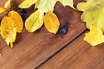 Image showing close up of many different fallen autumn leaves