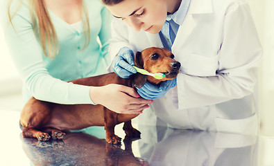 Image showing woman with dog and doctor at vet clinic