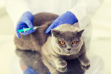 Image showing close up of vet making vaccine to cat at clinic