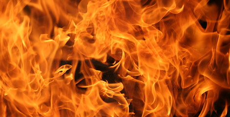 Image showing Flames
