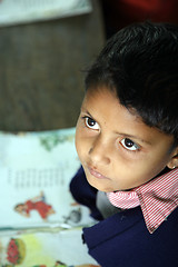 Image showing  Portrait of schoolboy at school, Kumrokhali, West Bengal, India