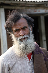 Image showing Portrait of a day laborer in Kumrokhali, West Bengal, India
