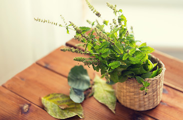 Image showing close up of melissa in basket on wooden table