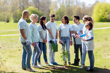 Image showing group of volunteers planting tree in park