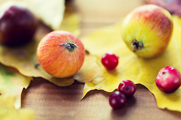 Image showing close up of autumn leaves, fruits and berries