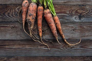 Image showing raw carrots on the ground