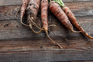 Image showing New harvest fresh organic carrots