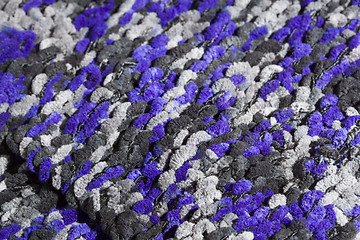 Image showing woolen scarf on white background highly detailed