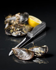 Image showing raw mussels from galicia spain in black background