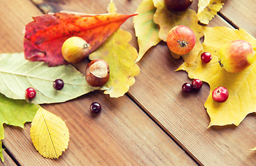 Image showing close up of autumn leaves, fruits and berries