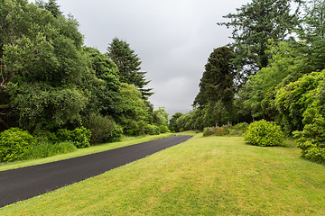 Image showing asphalt road at connemara in ireland