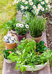 Image showing Flower pots