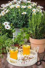 Image showing Homemade lemonade with rosemary