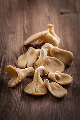 Image showing Fresh organic oyster mushrooms on a wooden table