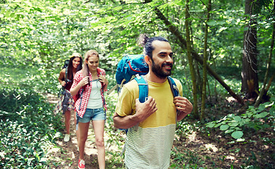 Image showing group of smiling friends with backpacks hiking