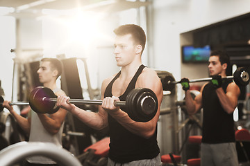 Image showing group of men with barbells in gym