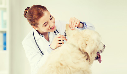 Image showing happy doctor with otoscope and dog at vet clinic