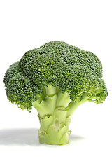 Image showing Standing broccoli