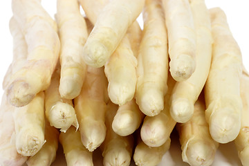 Image showing White asparagus