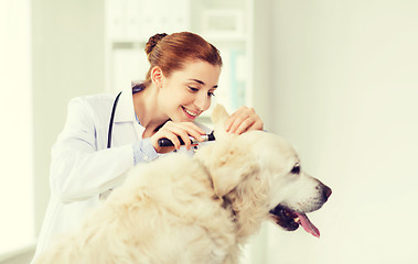 Image showing happy doctor with otoscope and dog at vet clinic