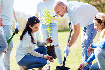 Image showing group of volunteers planting tree in park