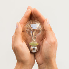 Image showing close up of hands holding edison lamp or lightbulb