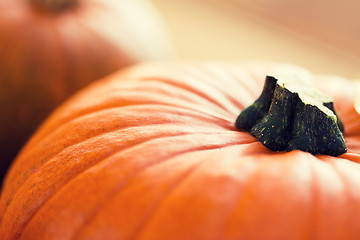 Image showing close up of pumpkins