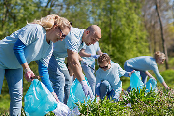 Image showing volunteers with garbage bags cleaning park area