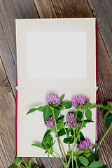 Image showing blank photo album and clover flowers