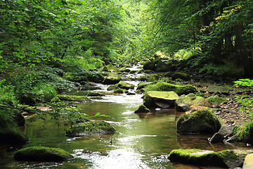 Image showing river in the czech forest