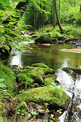 Image showing river in the czech forest