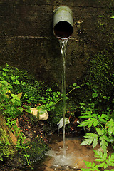 Image showing spring of water