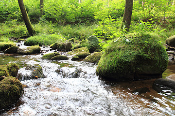 Image showing river in the czech forest