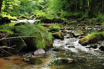 Image showing river in the czech forest