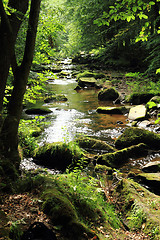 Image showing river in the czech forest