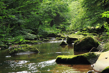 Image showing river in the czech forest