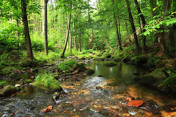 Image showing river in the czech forest