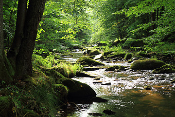 Image showing river in the czech forest